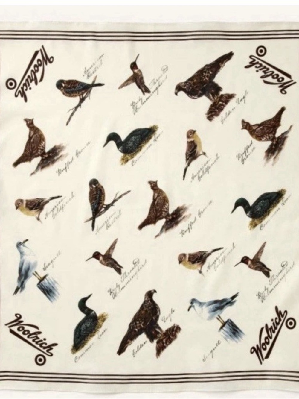 Woolrich x Target Cream Bird Motif
Cotton Bandana Scarf. - Picture 6 of 6